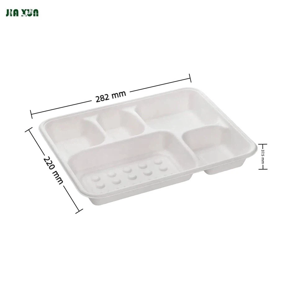 Technical dimension drawing of 5-compartment biodegradable sugarcane trays, 282x220x37.5mm